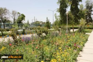 قابل توجه دانشجویان کارشناسی پیوسته وناپیوسته