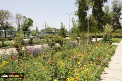 قابل توجه دانشجویان کارشناسی پیوسته وناپیوسته