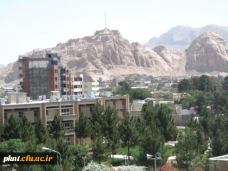 شیوه نامه مهمانی وانتقالی ترم932