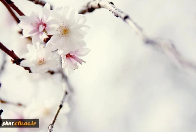 شیوه نامه امتحانات