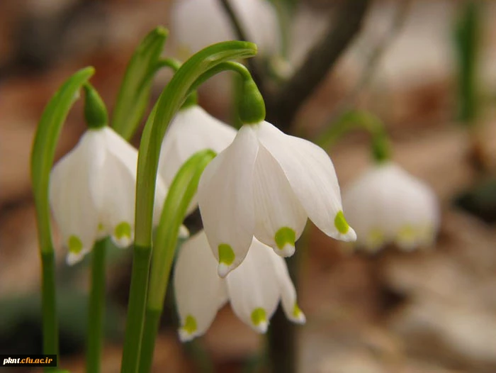 آئین نامه و مقررات انضباطی سکونت در خوابگاه های دانشجویی دانشگاه فرهنگیان
 3
