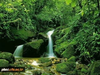 قابل توجه پذیرفته شدگان دوره کارشناسی ناپیوسته ورودی 92