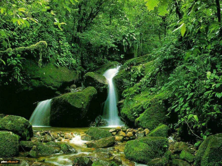 قابل توجه پذیرفته شدگان دوره کارشناسی ناپیوسته ورودی 92 2