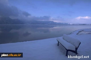 قابل توجه دانشجویان کارشناسی ناپیوسته که یک الی دودرس باقیمانده دارند