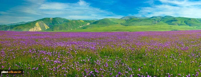 قابل توجه دانشجویان کارشناسی ناپیوسته که درانتخاب شماره کلاس خود دچارمشکل شده اند میرساند: 2