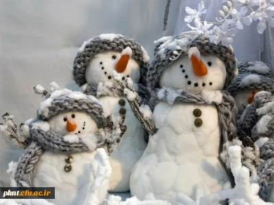 قابل توجه دانشجویان مقطع کارشناسی ناپیوسته که درتکمیل ظرفیت پذیرفته شده اند میرساند: