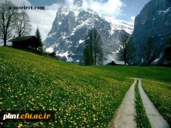 قابل توجه دانشجویان کارشناسی پیوسته وناپیوسته:تاریخ حذف واضافه12/5 لغایت 12/7میباشد درصورت عدم مراجعه جهت انتخاب واحد واصلاح آن درتاریخ ذکرشده ،هرگونه عواقب ناشی ازآن به عهده شخص دانشجو میباشد
باتشکر آموزش 2