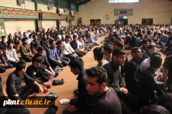 تصاویر عزاداری شنبه شب در پردیس خواجه نصیر