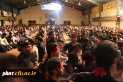 تصاویر  عزاداری شنبه شب در پردیس خواجه نصیر