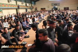 تصاویر  عزاداری شنبه شب در پردیس خواجه نصیر