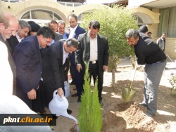 انجام مراسم غرس نهال به مناسبت هفته منابع طبیعی توسط استاندار در دانشگاه فرهنگیان کرمان