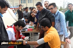 تصاویر غربالگری قند و فشار خون