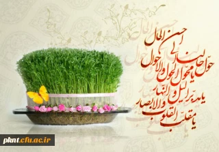 تبریک سرپرست پردیس خواجه نصیرالدین طوسی کرمان به مناسبت سال نو