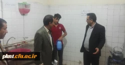 بازدید مشهدی رئیس اداره سراهای دانشجویی و همراهان از خوابگاه ها و سلف سرویس دانشگاه فرهنگیان استان کرمان 20 آذرماه 96