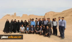 اردوی شهداد