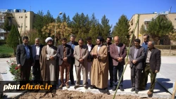 به مناسبت هفته درختکاری