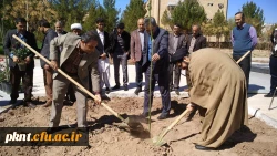 به مناسبت هفته درختکاری