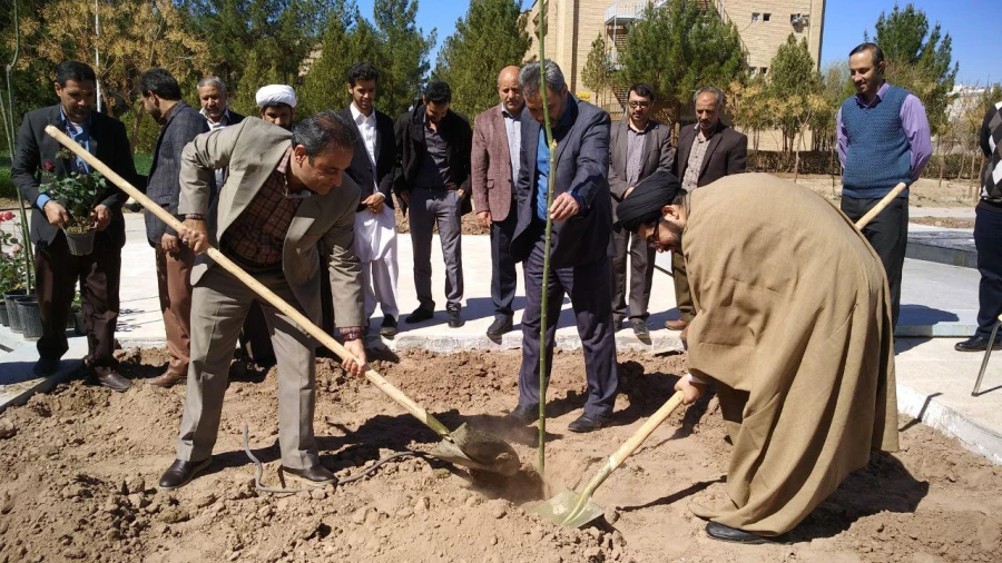 به مناسبت هفته درختکاری