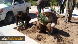 به مناسبت هفته درختکاری