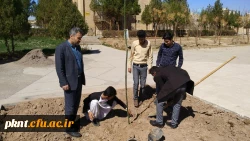 به مناسبت هفته درختکاری