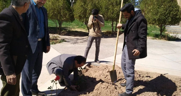 به مناسبت هفته درختکاری