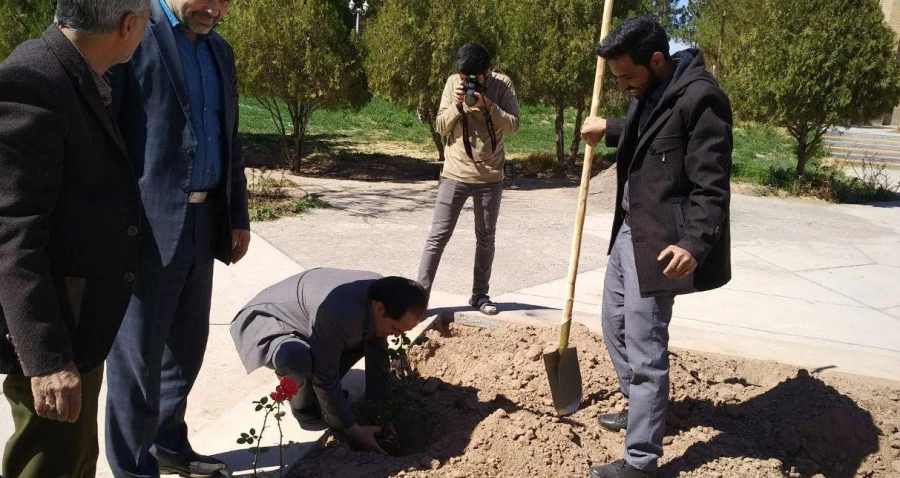 به مناسبت هفته درختکاری