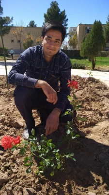 به مناسبت هفته درختکاری