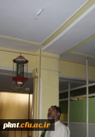 ترک خوردگی ساختمان های پردیس خواجه نصیرالدین طوسی در اثر زلزله