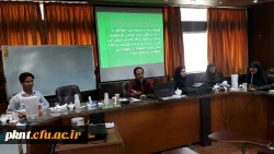 دوره بالندگی حرفه ای