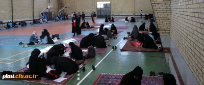 تیم نیک از پردیس شهید باهنر دانشگاه فرهنگیان کرمان در مسابقه نجات تخم مرغ به مقام قهرمانی دست یافت.