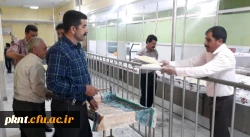 ضیافت افطاری