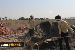 تلاش گروه جهادی شهید شهسواری بسیج دانشجویی دانشگاه فرهنگیان استان کرمان در منطقه زهکلوت رودبار جنوب به روایت تصویر