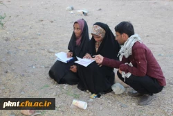 تلاش گروه جهادی شهید شهسواری بسیج دانشجویی دانشگاه فرهنگیان استان کرمان در منطقه زهکلوت رودبار جنوب به روایت تصویر