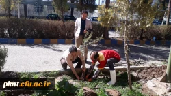 گرامیداشت هفته منابع طبیعی و روز درختکاری در دانشگاه فرهنگیان استان کرمان 2