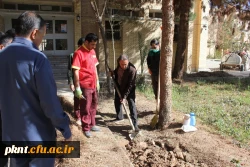 گرامیداشت هفته منابع طبیعی و روز درختکاری در دانشگاه فرهنگیان استان کرمان 3