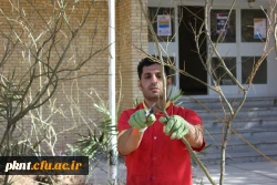 گرامیداشت هفته منابع طبیعی و روز درختکاری در دانشگاه فرهنگیان استان کرمان 5