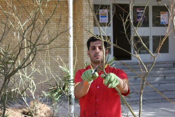 گرامیداشت هفته منابع طبیعی و روز درختکاری در دانشگاه فرهنگیان استان کرمان 5