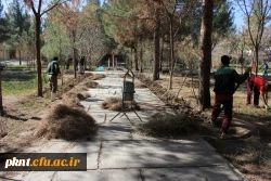 گرامیداشت هفته منابع طبیعی و روز درختکاری در دانشگاه فرهنگیان استان کرمان 7