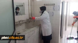 ضدعفونی کلیه فضاهای دانشگاه فرهنگیان استان کرمان انجام شد 5