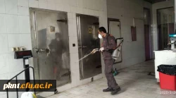 ضدعفونی کلیه فضاهای دانشگاه فرهنگیان استان کرمان انجام شد 10